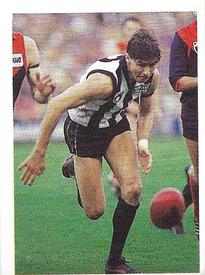 1991 Select AFL Stickers #61 Dennis Banks Front